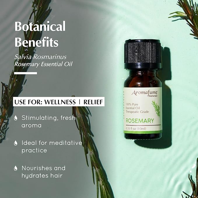 AROMAFUME Rosemary Essential Oil - 100% Natural, Therapeutic Grade Essential Oils - Pure, Woodsy Aromatherapy Oil for Meditation and Home Diffusers - Gifts for Her - 10ml