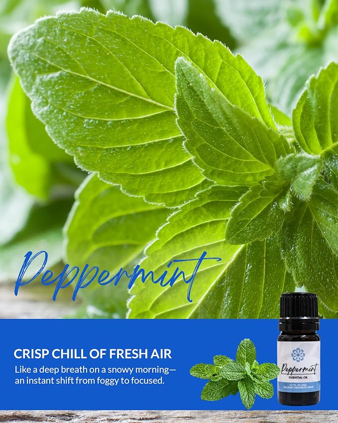 Essence Peppermint Essential Oil, 5 ml | Aromatherapy Oil for Diffusers & Personal Use | Natural Fragrance for Relaxation, Clarity & Wellness | Made in USA | Cool & Invigorating Scent