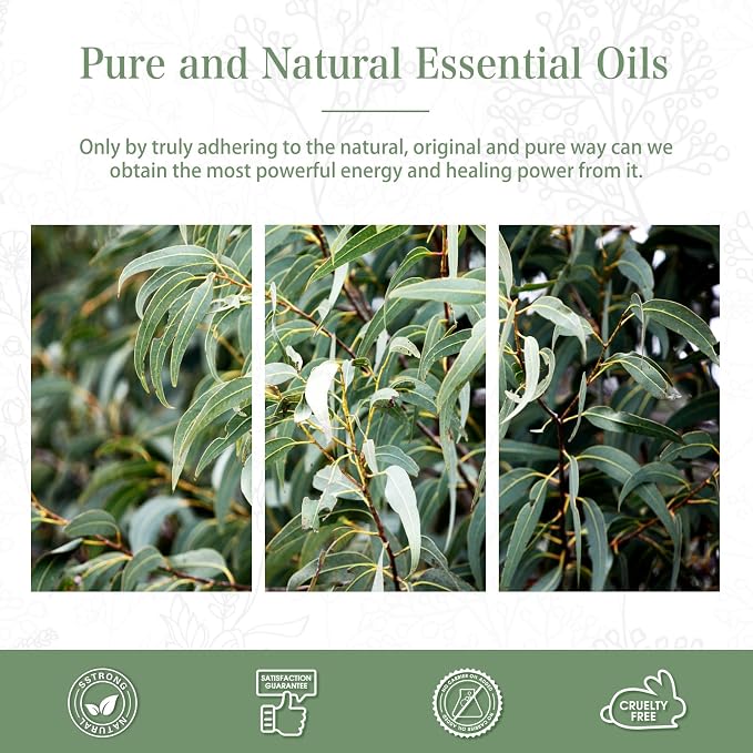 PHATOIL Pure Eucalyptus Essential Oil, 100% Pure Therapeutic Grade Premium Oil for Hair Care, Skin, Aromatherapy 3.38Fl Oz