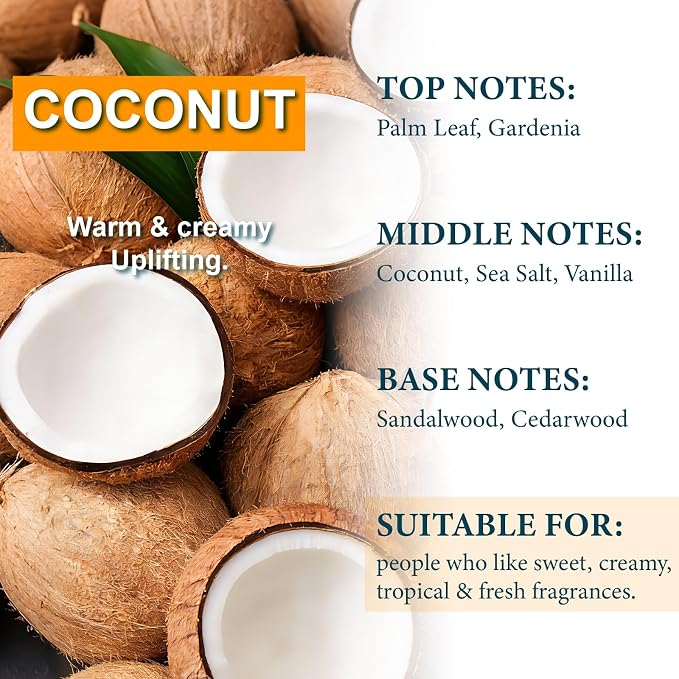 Hanging Car Air Freshener (Pack of 3) : Luxury Car Perfume for Women Men | Cute & Wooden Lid Reusable Bottle with 45+ Days Long-Lasting Scent for Auto Interio, Coconut