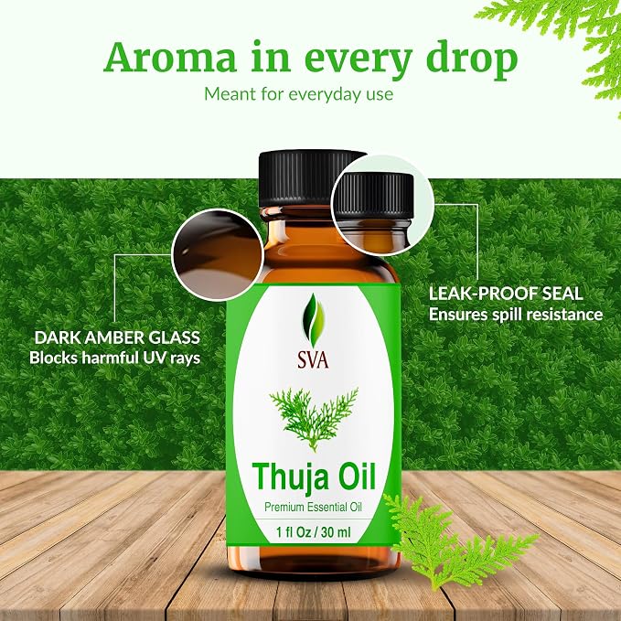 SVA Thuja Essential Oil 1 Fl Oz – for Diffuser, Skin & Hair Care – Ideal for Massage & DIY Blends - with Dropper