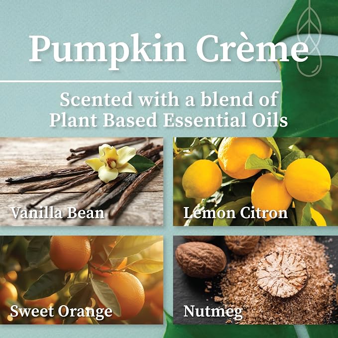 Hemlock Park Pumpkin Creme Apothecary Scented Candle | Crackling Wood Wick, Botanical Fragrance & Coconut Apricot Wax | Up to 60 Hour Burn Time | 8 oz | Made in USA