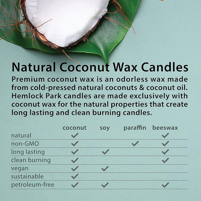Hemlock Park Mulled Cider Apothecary Scented Candle | Crackling Wood Wick, Botanical Fragrance & Coconut Apricot Wax | Up to 60 Hour Burn Time | 8 oz | Made in USA
