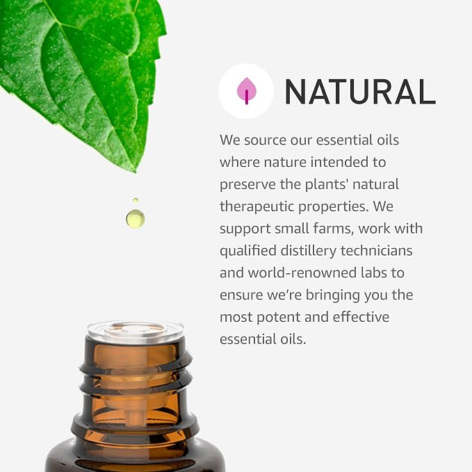 Rocky Mountain Oils Organic Tea Tree Essential Oil - 100% Pure, Undiluted, Natural Aromatherapy Oil for Skin, Hair & Diffuser, Therapeutic Grade for Hair Care, Massage and Humidifiers, USDA