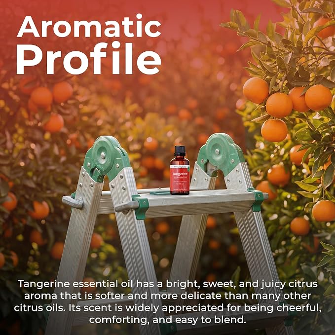 Viva Doria Tangerine Essential Oil, 100% Pure, Natural Essential Oil, Undiluted, for Aromatherapy | Food Grade, 30 mL (1 Fluid Ounce)