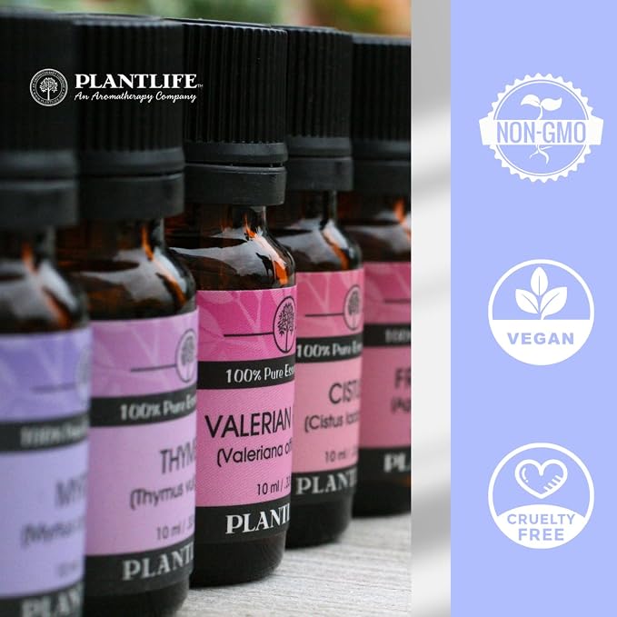 Plantlife Spice Set 6-Pack (All Spice, Cinnamon Leaf, Clove, Coriander, Nutmeg, and Ginger) Aromatherapy Essential Oil Set - No Additives or Fillers - Made in California 10 ml