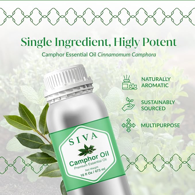 Siva Camphor Essential Oil - 16 Fl Oz – 100% Natural Camphor Oil - for Diffuser, Face, Skin Care, Aromatherapy, Hair Care, Scalp and Body Massage