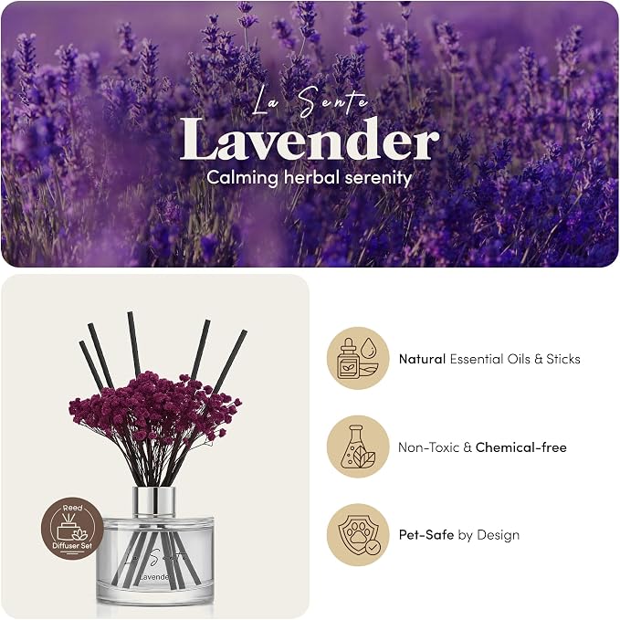 Reed Diffuser Set (6.7fl oz), Natural Lavender Essential Oil Fragrance with Glass Bottle, Black Rattan Sticks & Preserved Flowers, Up to 120 Days Lasting Fragrance for Home & Office