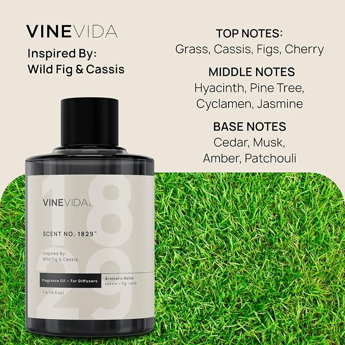 VINEVIDA [16 Oz] Inspired by: Wild Fig & Cassis; Diffuser Oil Refill | Premium Scent Diffuser Oil for Home | Non-Toxic Fragrance