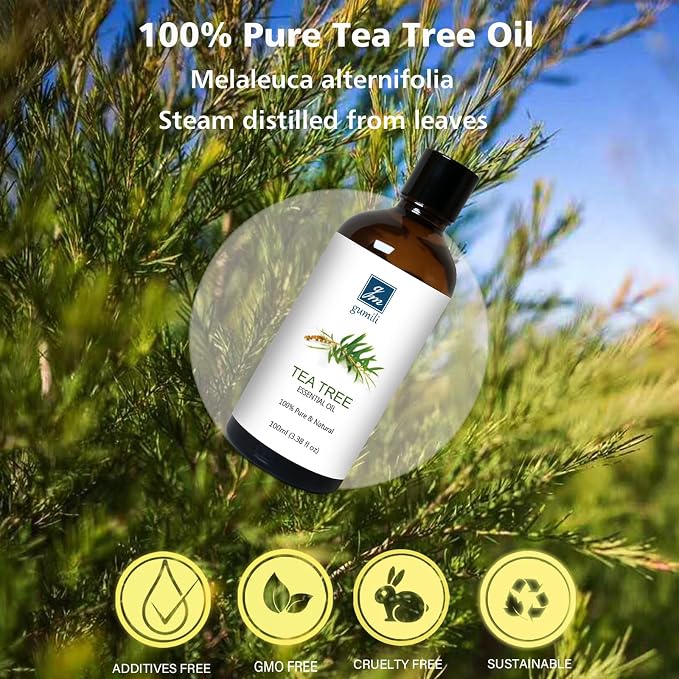 GM Gumili Pure Tea Tree Oil for Skin, Hair, Body Wash, Soap, Shampo and Conditioner, Nails, Body Oil, Aromatherapy Diffuser, 100% Natural Tea Tree Essential Oil - 200ml 6.7 Oz
