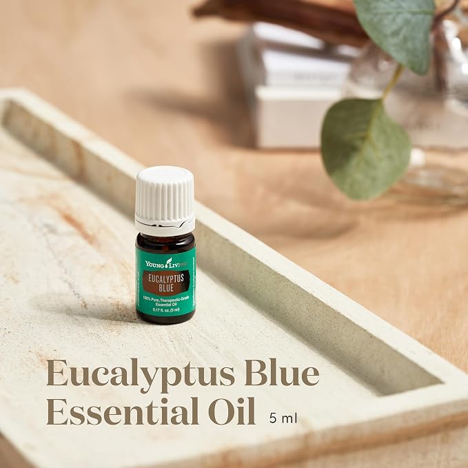 Young Living Eucalyptus Blue Essential Oil | 5 ml | Premium, Invigorating Botanical Extract | Crisp, Refreshing Aroma for Diffusers, Wellness, Comfort, & Soothing Aromatherapy Experience