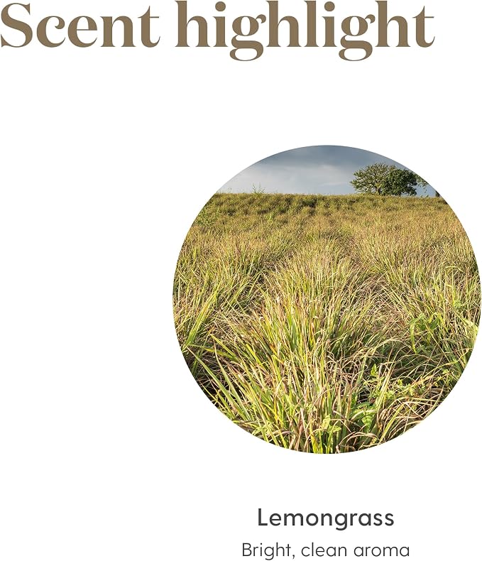 Young Living Lemongrass Essential Oil | 15 ml | Fresh Citrus Aroma for Diffusers, Massage & Aromatherapy | Cymbopogon Flexuosus Botanical Oil | Bright Lemon Scent | Seed to Seal Quality