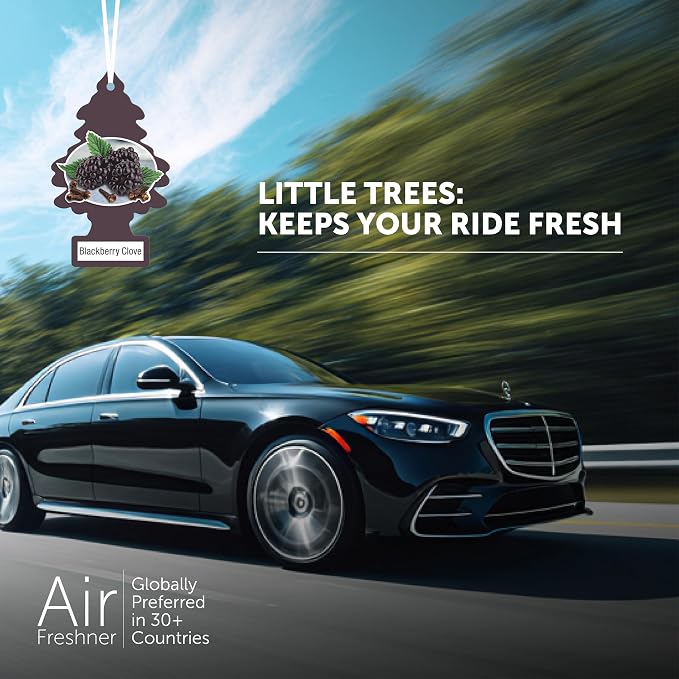 Little Trees DAS-17343 Car Air Freshener | Hanging Paper Tree for Home or Car | Blackberry Clove