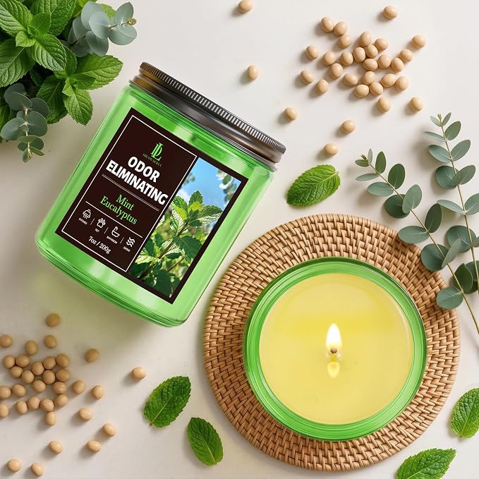 Mint Eucalyptus Odor Eliminating Highly Fragranced Candle, Eliminates 95% of Bathroom & Pet Odors Quickly, Air Freshing Scented Candles, Soy Candle Gifts for Women Men, 7oz