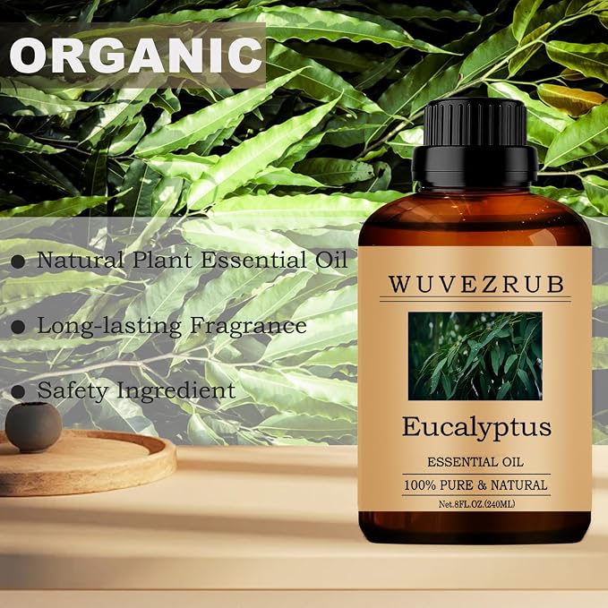 Eucalyptus Essential Oils, 240ML 100% Pure and Natural Essential Oil for Aromatherapy Diffuser - Eucalyptus /8 Fl Oz