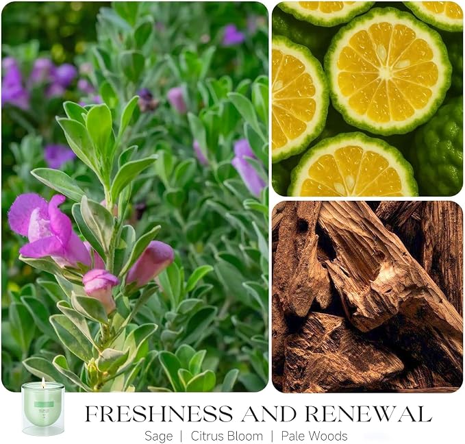 Sage Citrus Scented Green Candles, Natural Soy Non Toxic Single Wick Aromatherapy Candle for Home Decor, Summer Fragrance