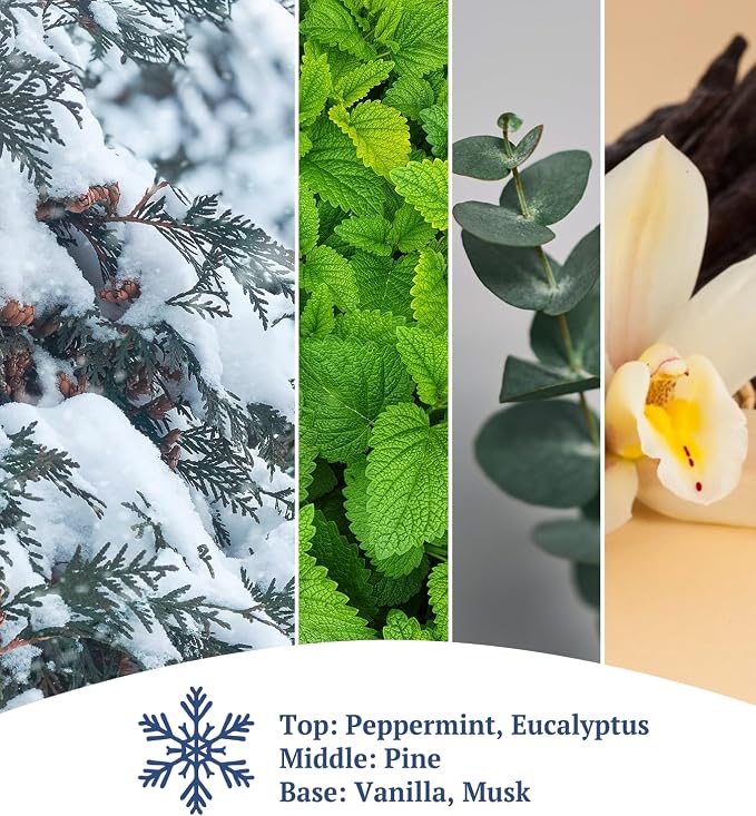 Winter Wonderland Candle | Inspired by The Rocky Mountains in Premium Tin | Soy Wax with Lead-Free Cotton Wick | 55-Hour Burn | Festive Fragrance for The Season