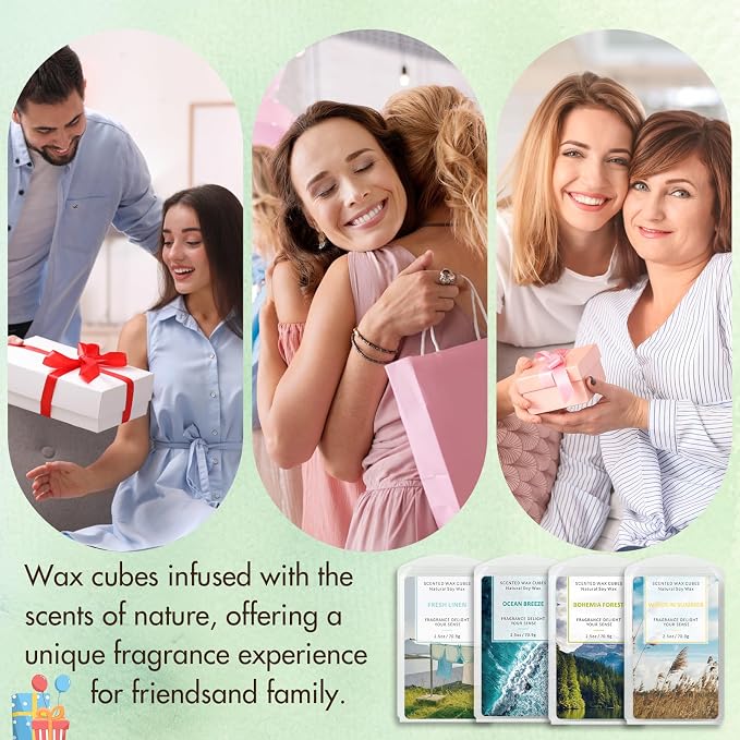 SCENTORINI Wax Melts Wax Cubes, Soy Wax Cubes for Wax Warmer, Ocean Breeze, Fresh Linen, Bohemia Forest, Winds in Summer, 4 x 2.5 oz