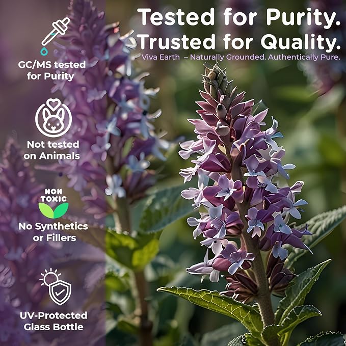 Clary Sage Essential Oil – 100% Pure and Natural Clary Sage Aroma for Diffusers, Aromatherapy, Hair and Scalp Care, Skin Care, Massage Oils, Soap and Candle Making – with Dropper, 4 oz