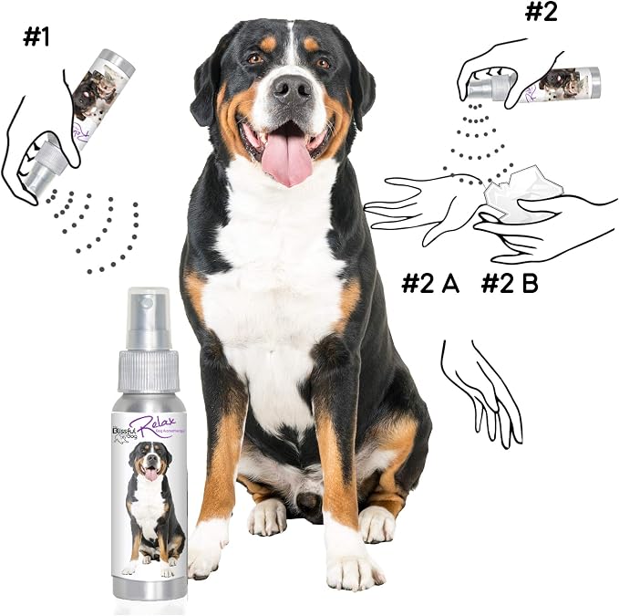 The Blissful Dog Greater Swiss Mountain Dog Relax Aromatherapy Spray for Your Dog's Anxiety