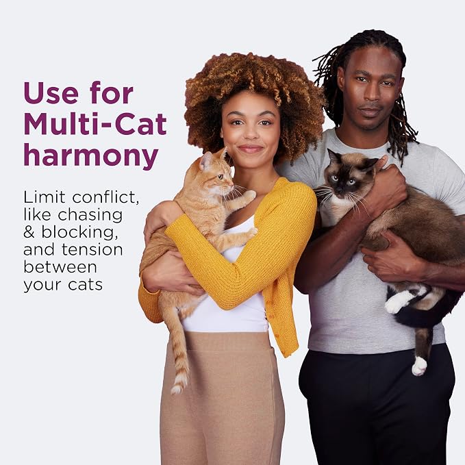 Comfort Zone Multi Cat Calming Diffuser Refill–Pheromone Refills Help Reduce Anxiety, Stress, Scratching, Urine Marking, Multi-Cat Aggression,(30-Day Refills, 1 Year Supply)(Pack of 12)