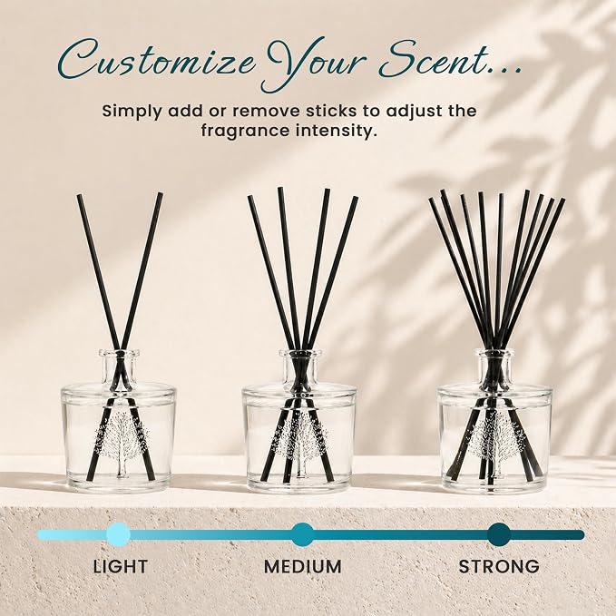 Wavertree & London Natural Beach Scented Reed Diffusers Set - Long Lasting Aromatherapy Air Freshener Diffuser with Sticks for Home & Office | 250ml Scented Diffuser with 6 Months Scent Life