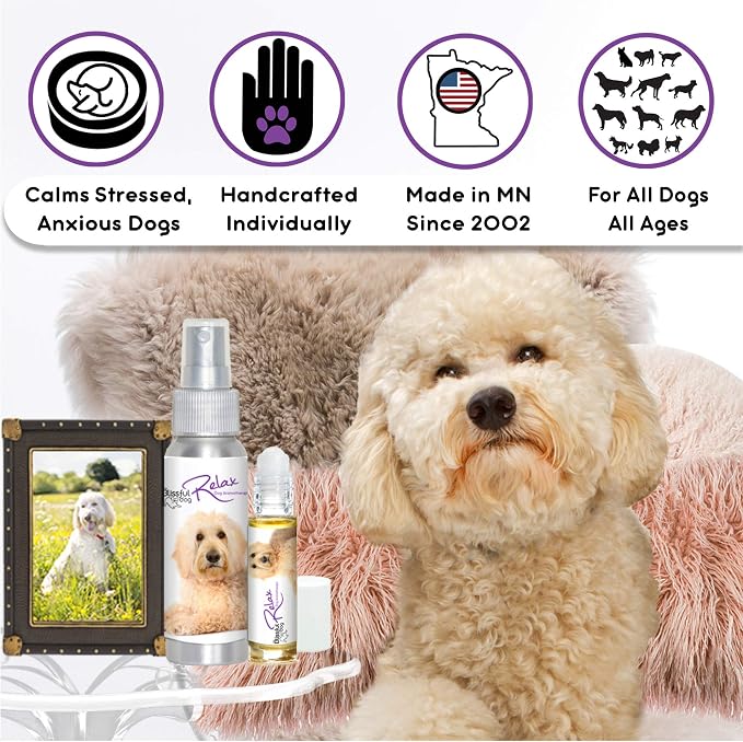 The Blissful Dog Golden doodle Relax Dog Aromatherapy Spray for Your Dog's Anxiety