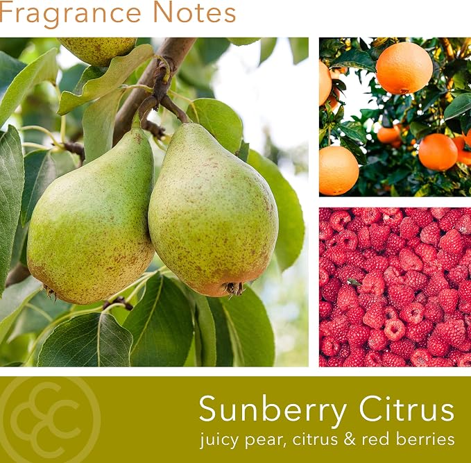 Colonial Candle Sunberry Citrus Scented Candle, 2-Wick Natural Soy Blend Wax Candle Infused with Essential Oils, 14 oz Apothecary Glass Jar Candle - Made in The USA