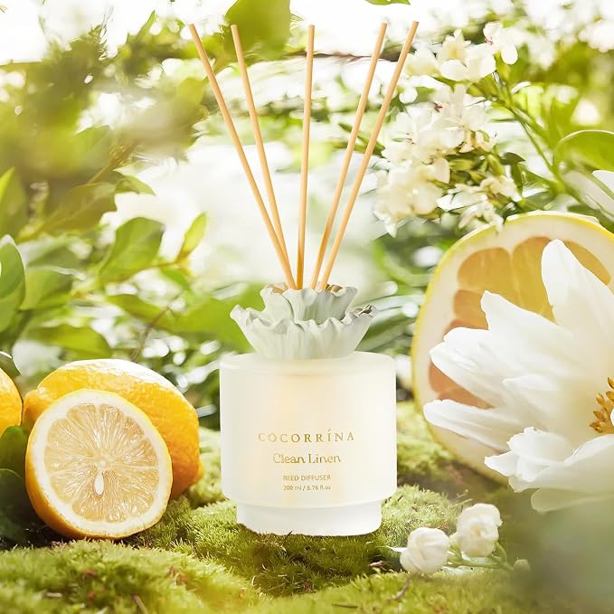 COCORRÍNA Gypsum Flower Reed Diffuser - Clean Linen Scent, 6.76 oz Oil with 8 Sticks, Long - Lasting Home Fragrance for Bathroom Décor