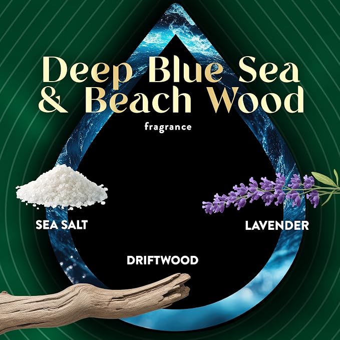 Air Wick Plug-In Scented Oil Refills, 4 Count, Deep Blue Se & Beach Wood, Air Freshener, Essential Oils