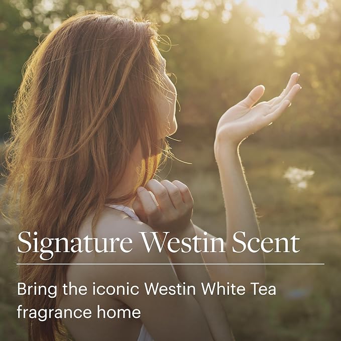 Westin White Tea Candle in a Tin - Hand-Poured, Soy Candle in Tin - Signature White Tea Scent - 4 oz. - Set of 3