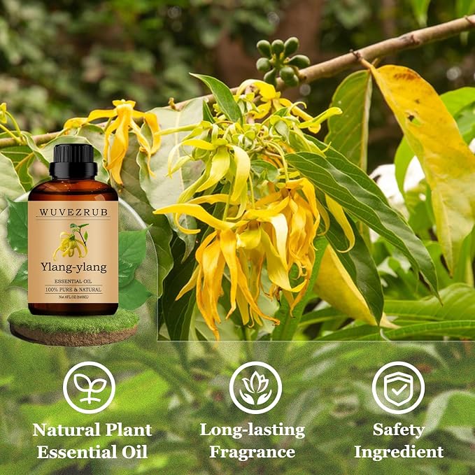 Ylang-Ylang Essential Oils 240ML, Pure Ylang-Ylang Essential Oil for Aromatherapy Diffuser - 8 Fl Oz