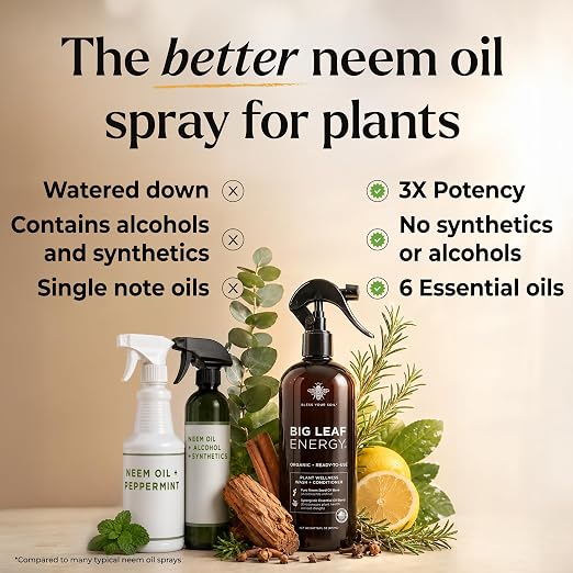 Neem Oil Spray for Plants – Big Leaf Energy + Essential Oils – Ready to Use Organic Plant Wash to Protect Outdoor & Indoor Plants, Made in USA (16 fl oz)