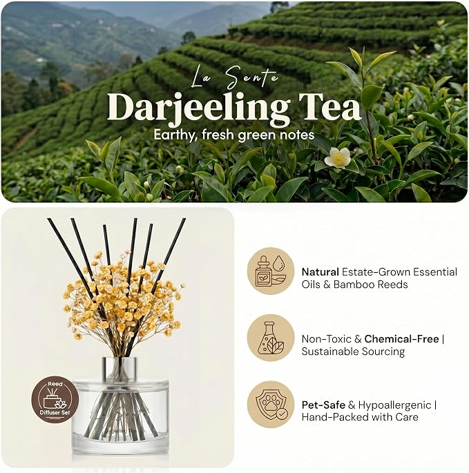 Reed Diffuser Set, 6.7oz Natural Darjeeling Tea Essential Oil Fragrance, Glass Bottle, Black Rattan Sticks, Preserved Flowers, Long Lasting Home & Office Scent