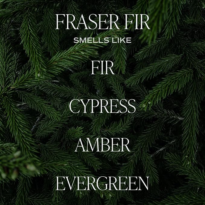 Sweet Water Decor Fraser Fir Candle - Evergreen, Cedar, Winter Holiday Scented Soy Christmas Candles for Home - 9oz Clear Jar, 40 Hour Burn Time, Made in the USA
