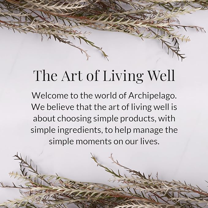 Archipelago Botanicals Black Forest Soy Wax Blend Travel Candle Tin, Dark Ebony Wood, Douglas Fir and Black Currant Scent, Clean Burning, Lead-Free Wick, 30 Hour Burn, 5.7 oz