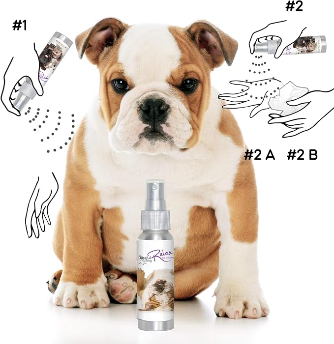The Blissful Dog Bulldog Relax Aromatherapy Spray for Your Dog's Anxiety