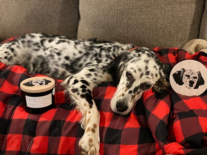 Sand + Paws Scented Candle - Newport - Additional Scents and Sizes –Luxurious Air Freshening Jar Candles Neutralize pet Odors and Enhance Home décor – 100% Cotton Lead-Free Wicks - 12 oz