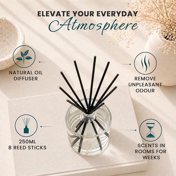 Wavertree & London Natural Beach Scented Reed Diffusers Set - Long Lasting Aromatherapy Air Freshener Diffuser with Sticks for Home & Office | 250ml Scented Diffuser with 6 Months Scent Life
