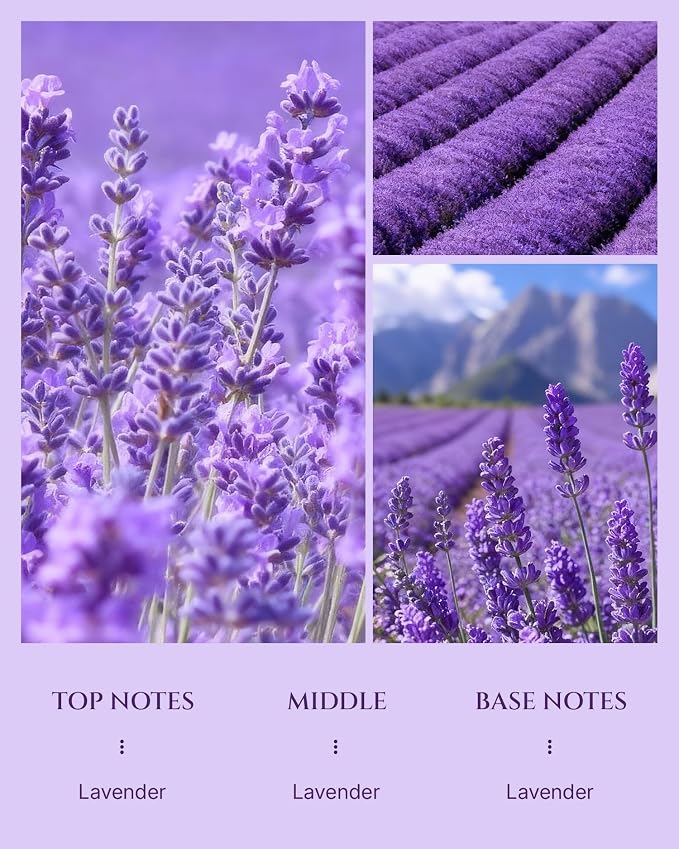 Aromadd Lavender Diffuser Oil Inspired by Classic Botanical Gardens, Premium Fragrance Oils for Waterless Diffuser, Classic Botanical Lavender Scent, Long-Lasting Home Fragrance - 3.38 fl oz (100 mL)
