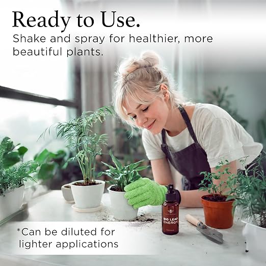 Neem Oil Spray for Plants – Big Leaf Energy, with Essential Oils – Ready-to-Use Plant Spray for Outdoor & Indoor Plants, Made in USA (4 fl oz)