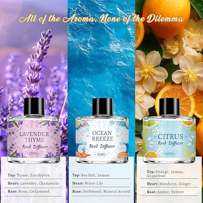 6 Pack Reed Diffuser Sets, Essential Oil Reed Diffusers for Home with 30 Sticks, Long Lasting Scent, Gift Ready Fragrance Diffuser for Bedroom, Bathroom, Office, Home Decor (1.69oz Each)