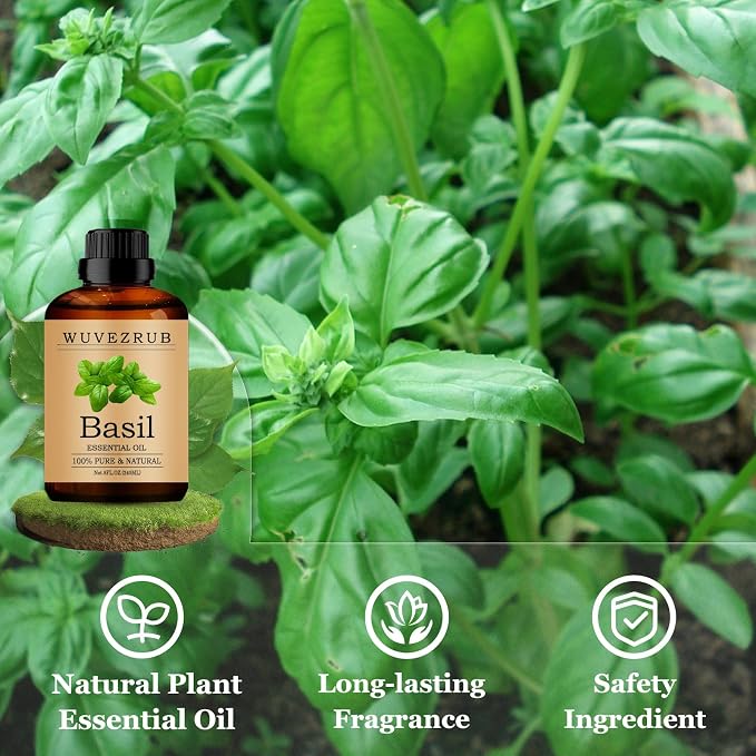Basil Essential Oils 240ML, Pure Basil Essential Oil for Aromatherapy Diffuser - 8 Fl Oz