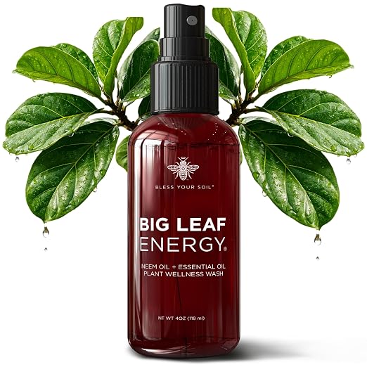 Neem Oil Spray for Plants – Big Leaf Energy, with Essential Oils – Ready-to-Use Plant Spray for Outdoor & Indoor Plants, Made in USA (4 fl oz)