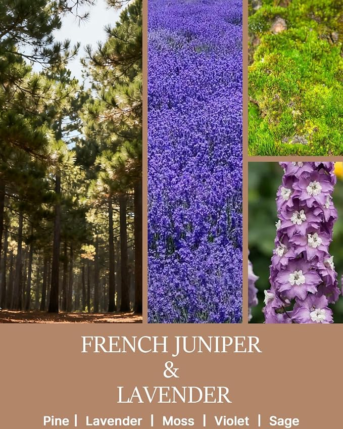 Scented Candle for Home, 7.05 oz 40Hour Burn Time, Long Lasting Soy Jar Candle, Gifts for Christmas, Halloween, Inspirational Gifts for Men Women, French Juniper&Lavender, Aromatherapy
