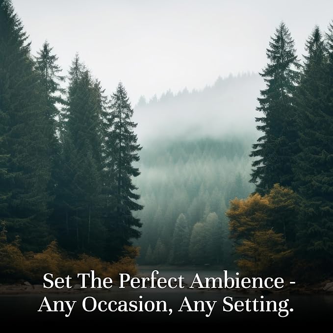 P&J Trading Fragrance Oil Favorite Set | Candle Scents for Candle Making, Freshie Scents, Soap Making Supplies, Diffuser Oil Scents