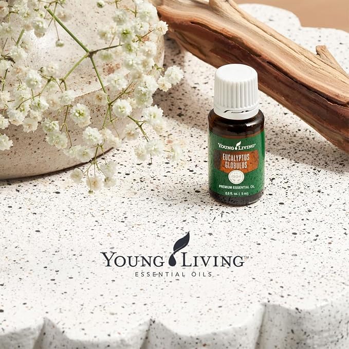 Young Living Eucalyptus Globulus Essential Oil | Cooling, Refreshing Aroma for Diffusion & Massage | Supports Breathing Comfort & Relaxation | Premium Seed to Seal® Quality Oil | 5ml