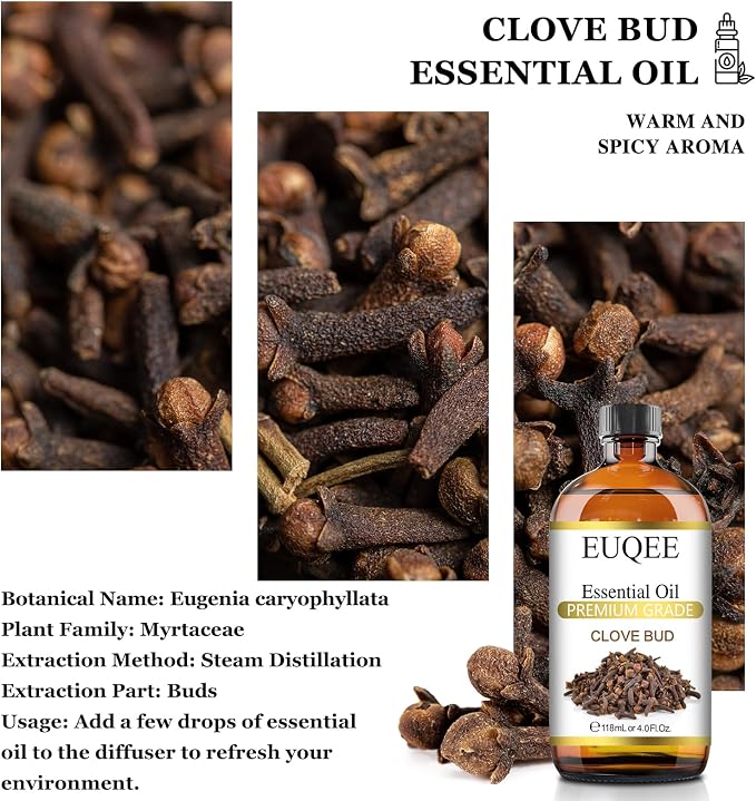 EUQEE Clove Essential Oil Large Capacity (4 oz/118 ml) Premium Clove Bud Oil - with Glass Dropper, Great for Diffusers, DIY Candle e & Soap Making