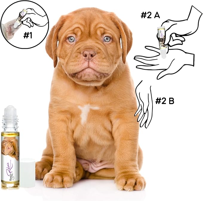 The Blissful Dog Douge de Bourdeaux Relax Roll-ON Aromatherapy for Dogs - Anxiety Relief for Dogs