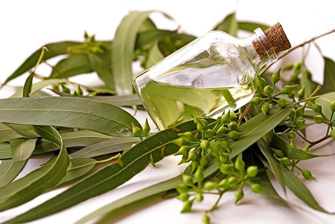 100% Pure Eucalyptus Essential Oil (1 Gallon) – Bulk Premium Globulus Oil for Spa Steam Rooms, Saunas & Aromatherapy Diffusers – Steam Distilled